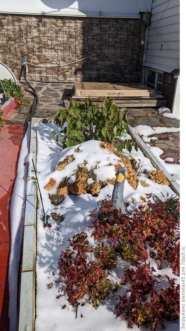 Убрал на зимнее хранение кубовую чудо-бочку ( стояла в углу ). Два сезона ПВХ отработал , посмотрим дальше. Пару шлангов оставил на следующее потепление .