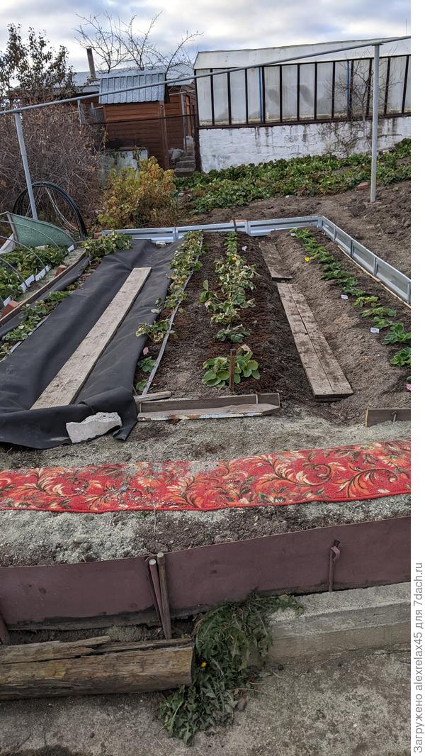 Для новобранцев подготовил другуе . В перспективе под установку в следующем году теплички 3х6 с укрытием чехлом из спанбонда .