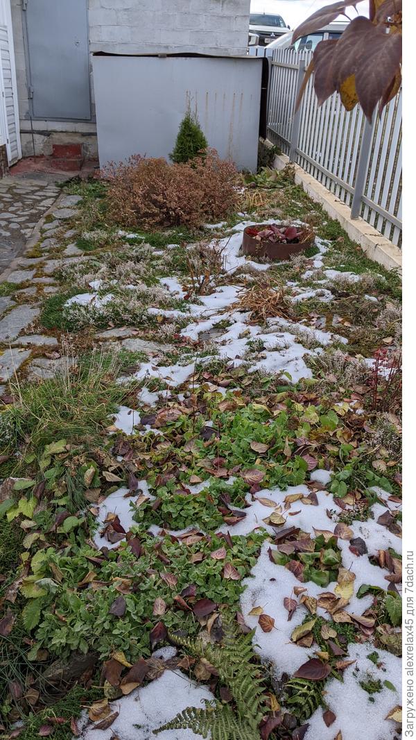 Но снег , выпавший около двух недель назад на северной стороне до сих пор не растаял .