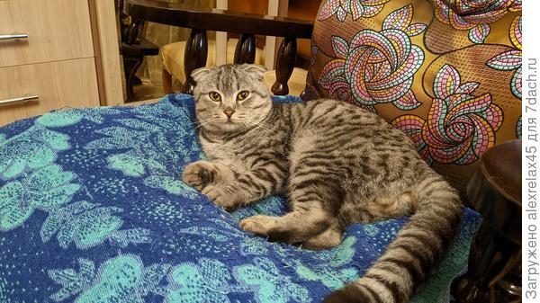 В качалке ему очень нравится .