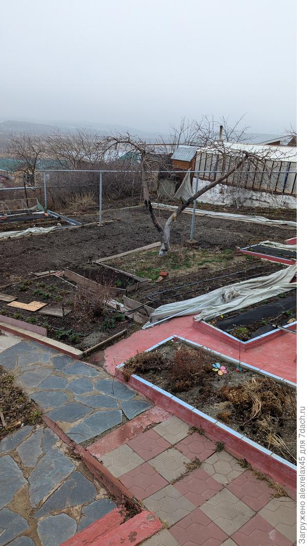 Сегодня снял иглопробивной с грядок и сделал зачистку земляничных грядок . Подсушу , обработаю от болезней и вредителей , потом опять укрою . Минусовые температуры ещё впереди .