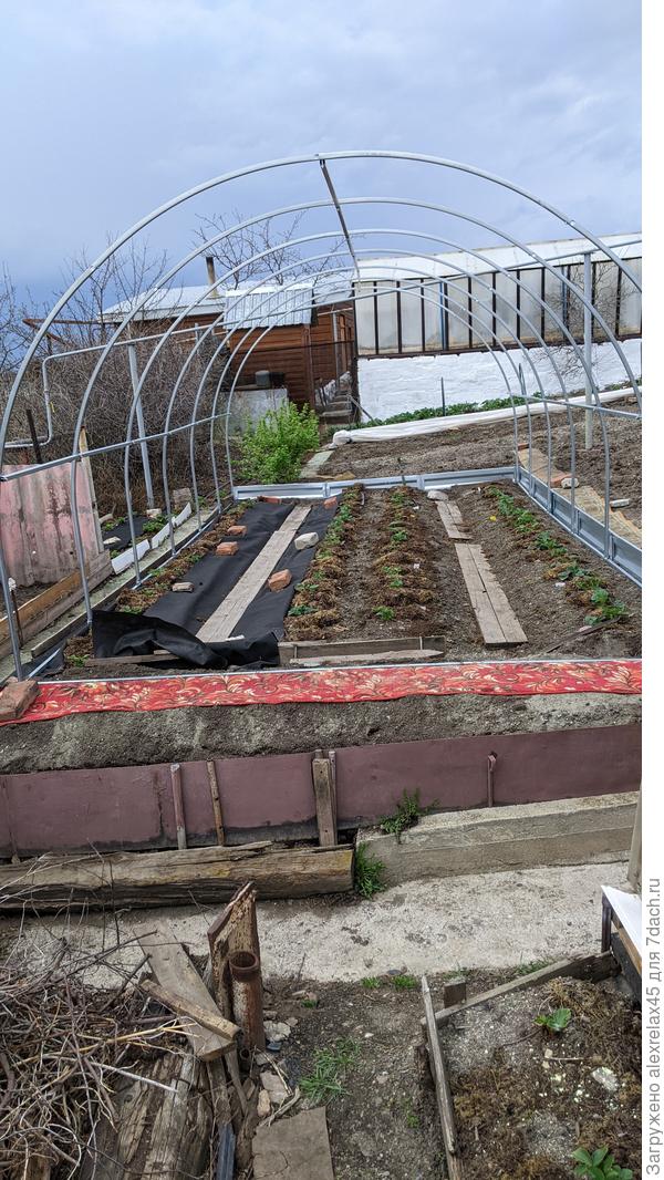 Вчера собрал каркас для теплички 3х6 . После дождей буду натягивать чехол .