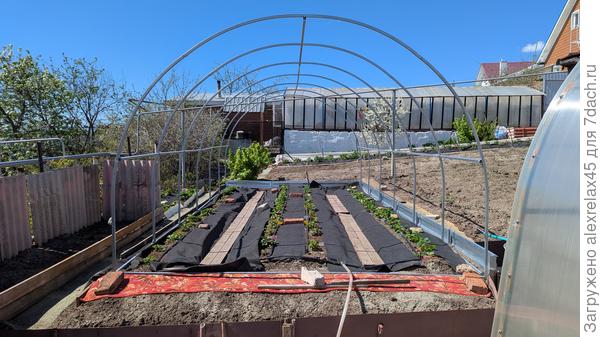 Чехол буду натягивать через пару дней перед приходом прохладной погоды