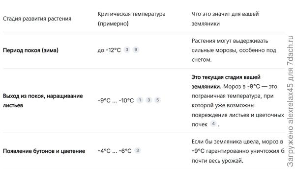 Рекомендации от ИИ