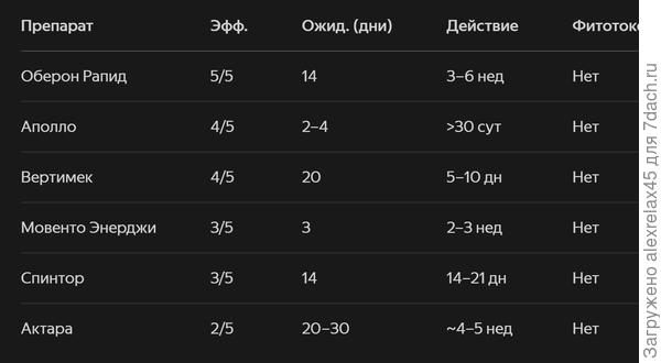 Вот