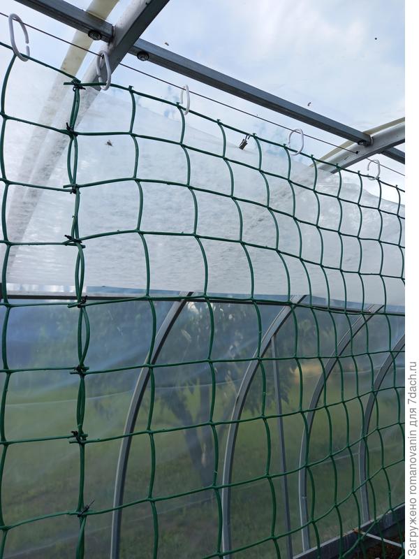 Центральная струна.