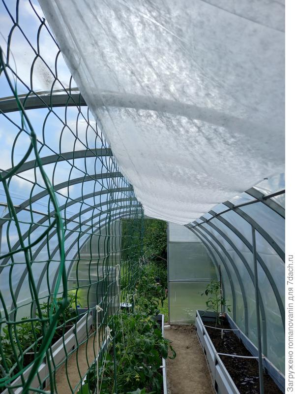 Одно полотно натянула. Справилась!