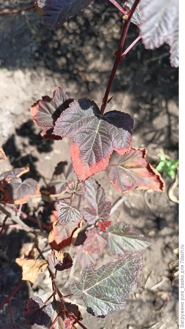 теперь загрузилась