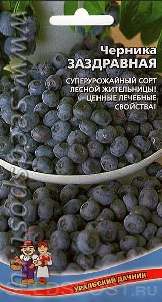 Семена черника 2