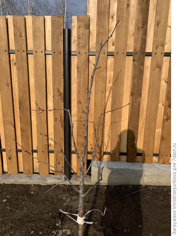 Вот результат.