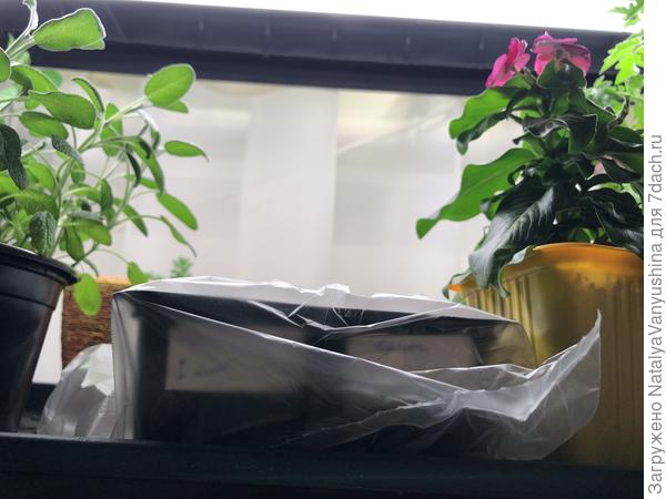 Стеллаж с рассадой