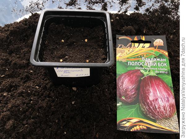 Посев семян