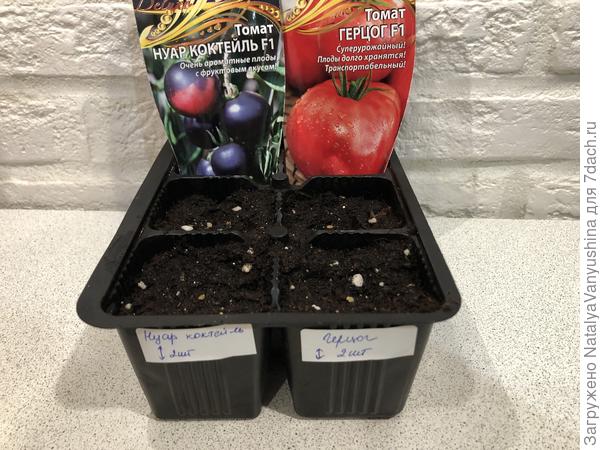 Посев семян