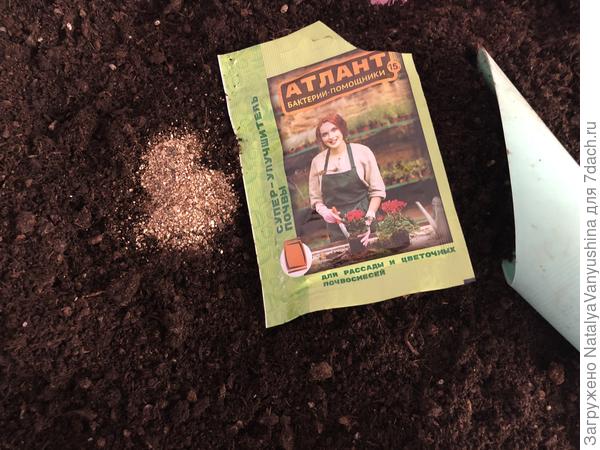 Подготовка грунта для посева