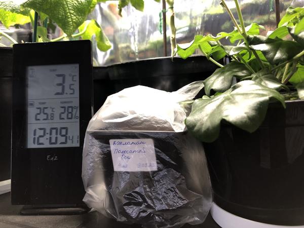 Стеллаж с рассадой