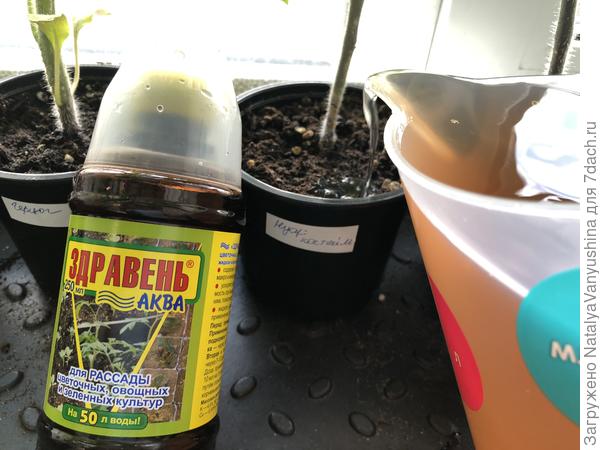 Подкормка томатов