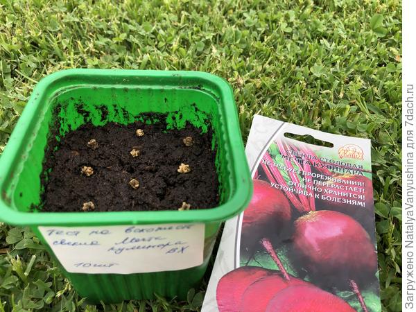 Тест на всхожесть