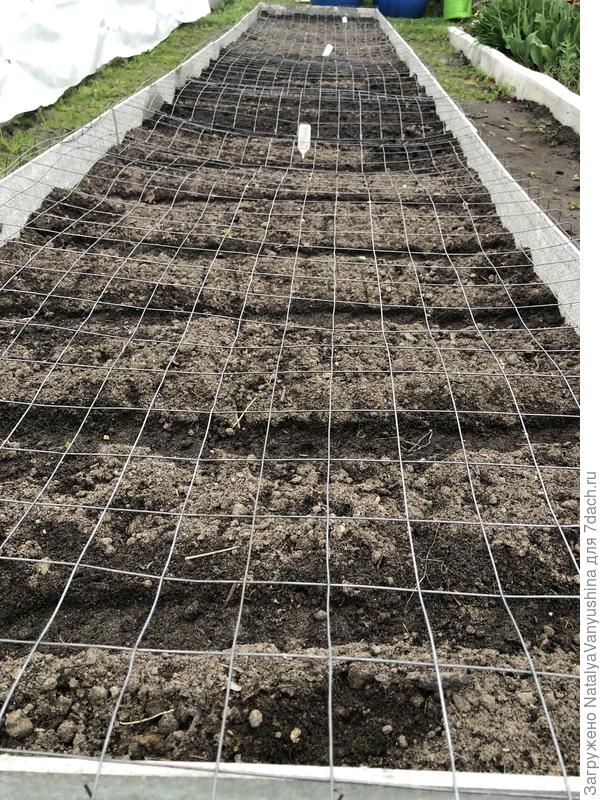 Посевы под защитой