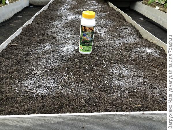 Подготовка грядки