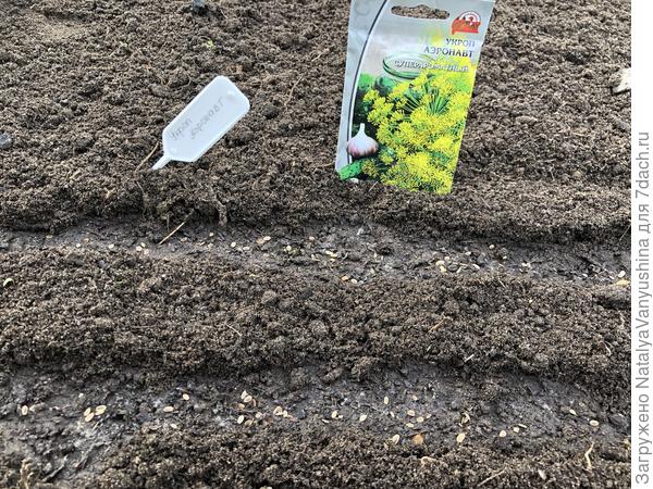 Посев семян