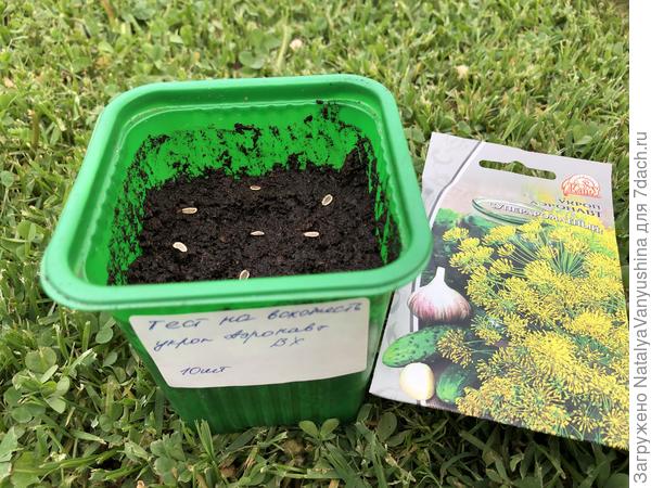 Тест на всхожесть