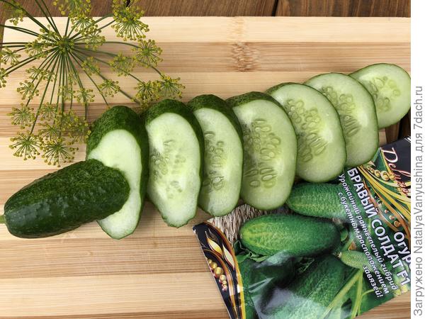 Огурец Бравый солдат