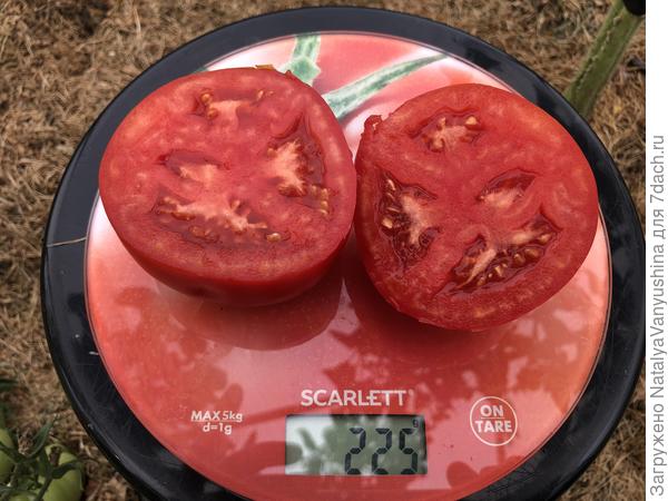 Первый урожай