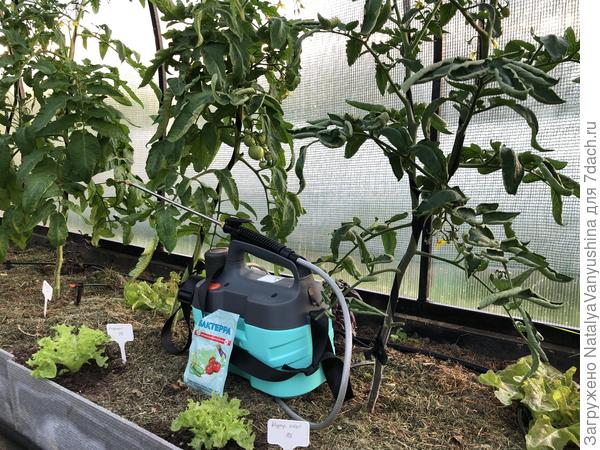 обработка препаратом Бактерра