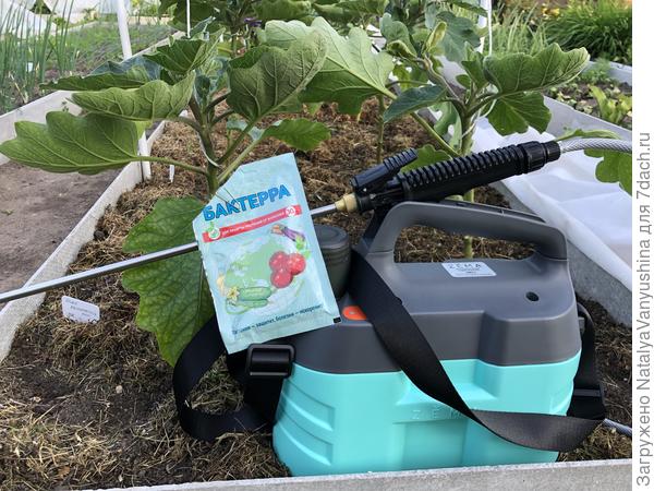 Обработка препаратом " Бактерра"