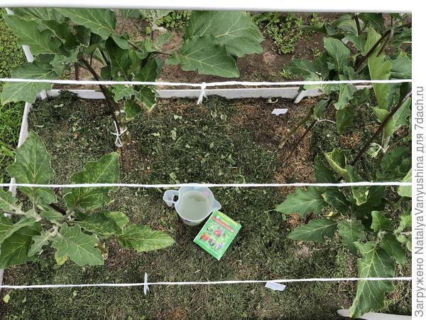 Обработка грунта препаратом "Триходерма вериде"