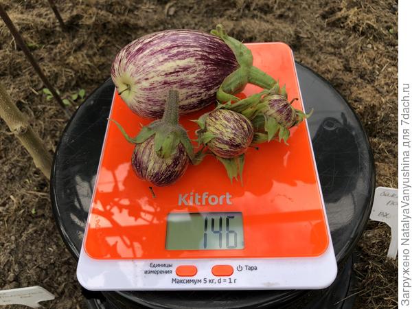 Урожай с третьего куста