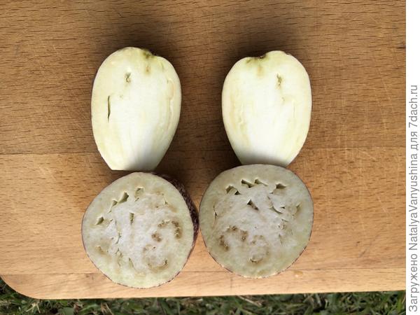 Плоды в разрезе