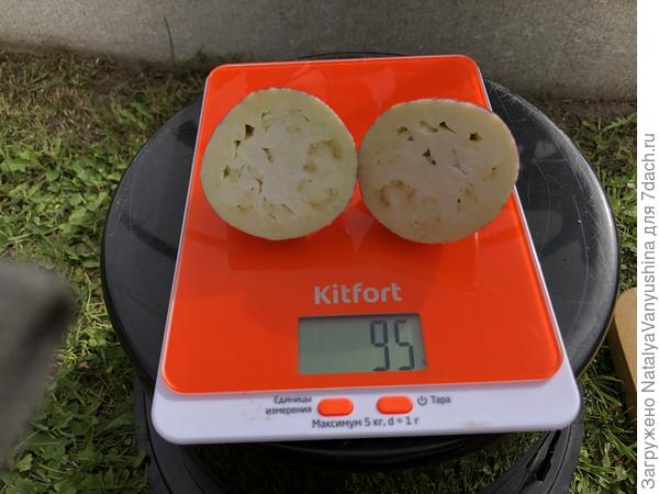 Самый крупный плод