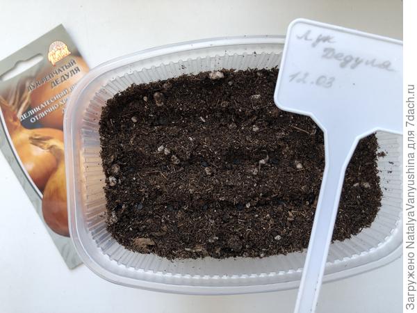 Посев семян