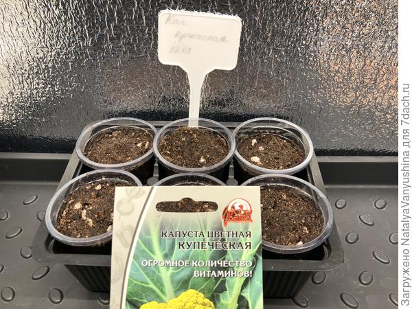 Рассадные стаканчики на стеллаже