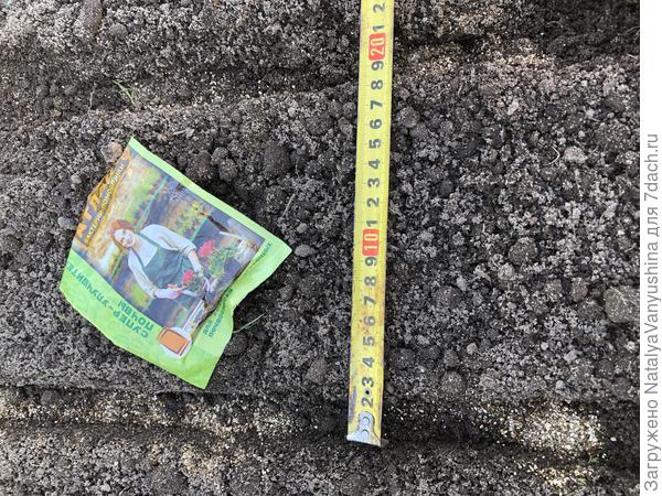 Подготовка к высадке лука