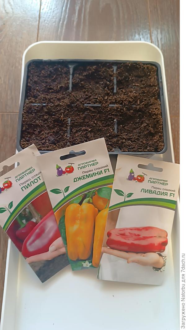 Посеяла сегодня перец "Пилот", "Джемини", "Ливадия"