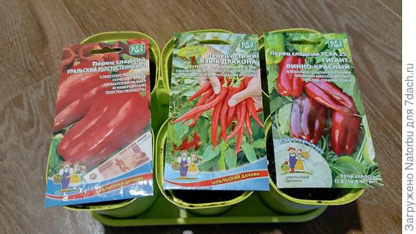 И перцы от "Уральского дачника".  Сею не проращивая, сразу в стаканчик с грунтом.