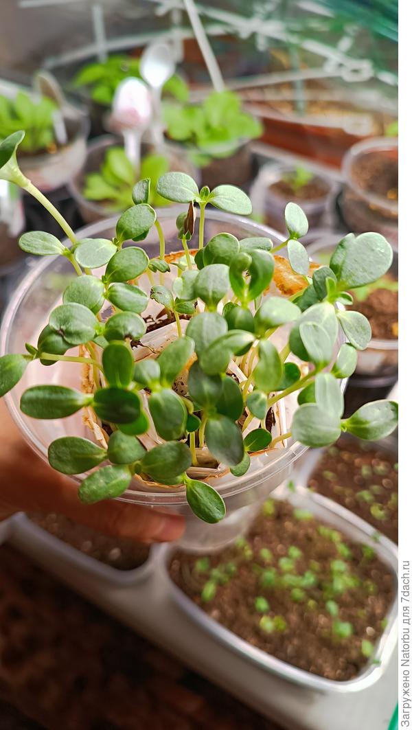 Очень удобно, не занимают много места!