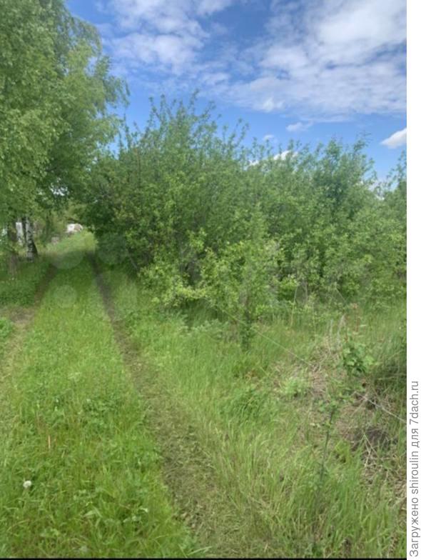 Фото прилегающей дороги