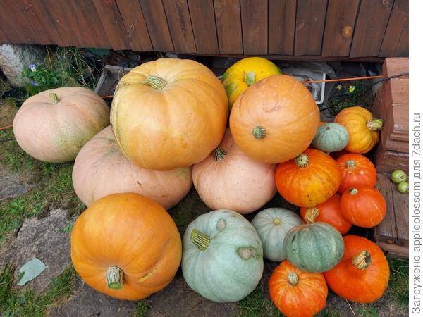 Уральский урожай