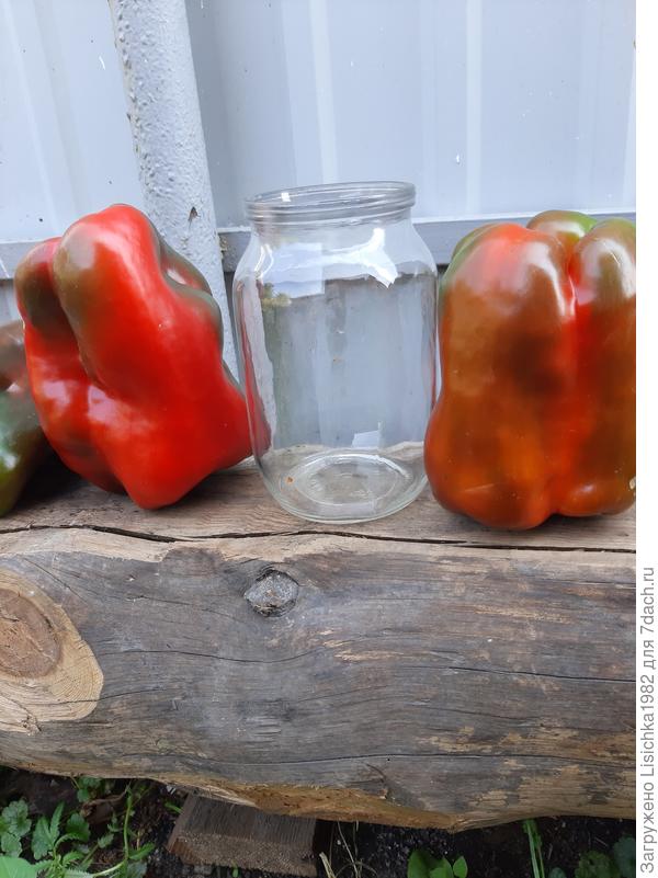 Перец сладкий Омброне F1вырос с литровую банку