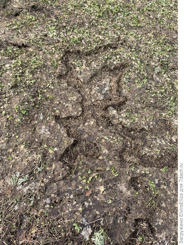 Кто тут чудит?)