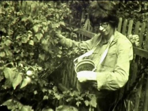 Урожай черной смородины