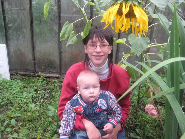 Под подсолнухом