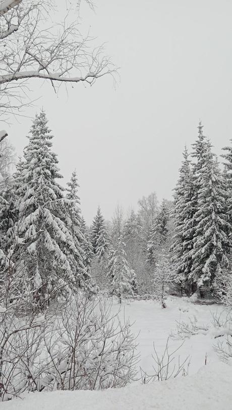 Так и хочется как в мультфильме "Маша и Медведь" взять волшебные краски и разукрасить черно-белый пейзаж