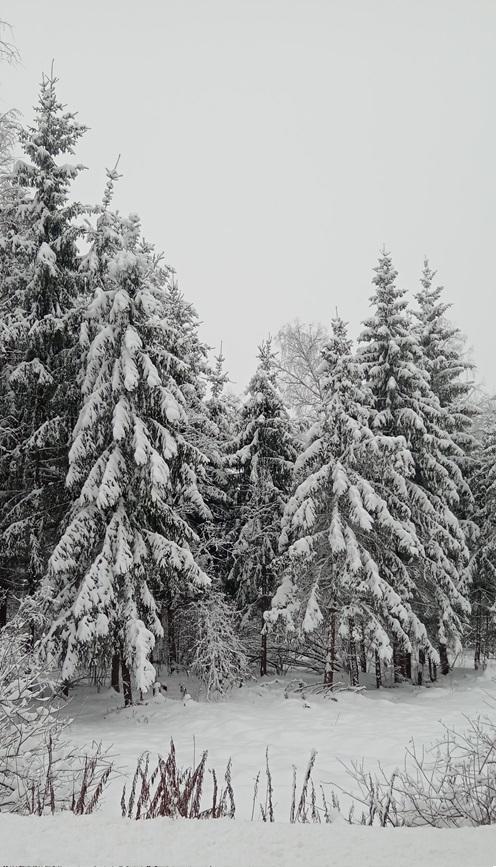 Вот только цветная цифровая фотография мало чем отличается от черно-белой.