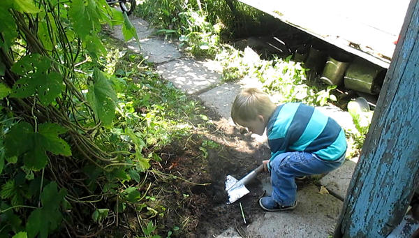 Будет-будет для сестрички широкая дорожка