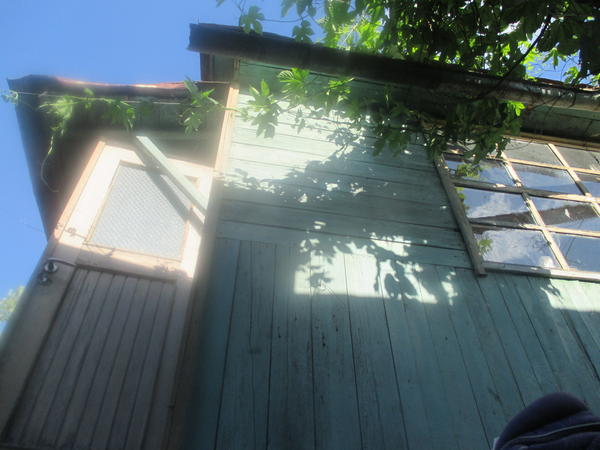 Когда домик был огромным