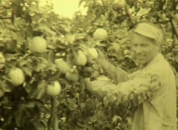 Пришлось прибегнуть к фотошопу, чтобы передать суть.